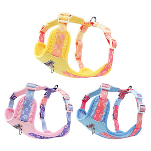 Vibrant Gradient No-Pull Dog Harness & Leash Set for Small Dogs - Barking Meows