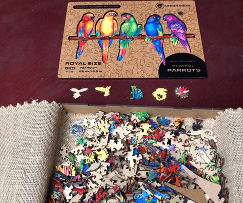 Unidragon Parrot wood puzzle pieces for rental