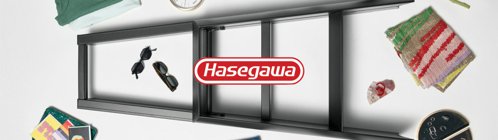 Hasegawa Ladders