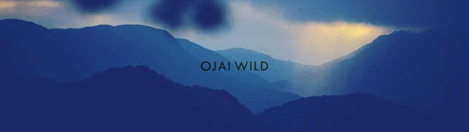 Ojai Wild