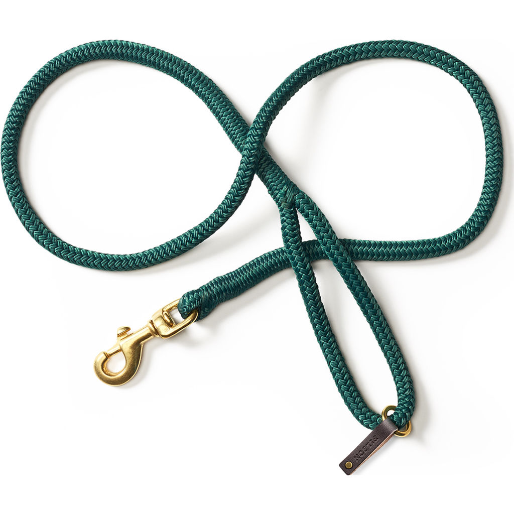 braided nylon rope dog leash