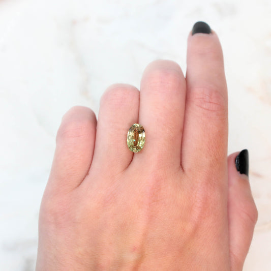 3.40 Carat Yellow-Green Oval Sapphire for Custom Work - Inventory Code YGOS340 - Midwinter Co. Alternative Bridal Rings and Modern Fine Jewelry