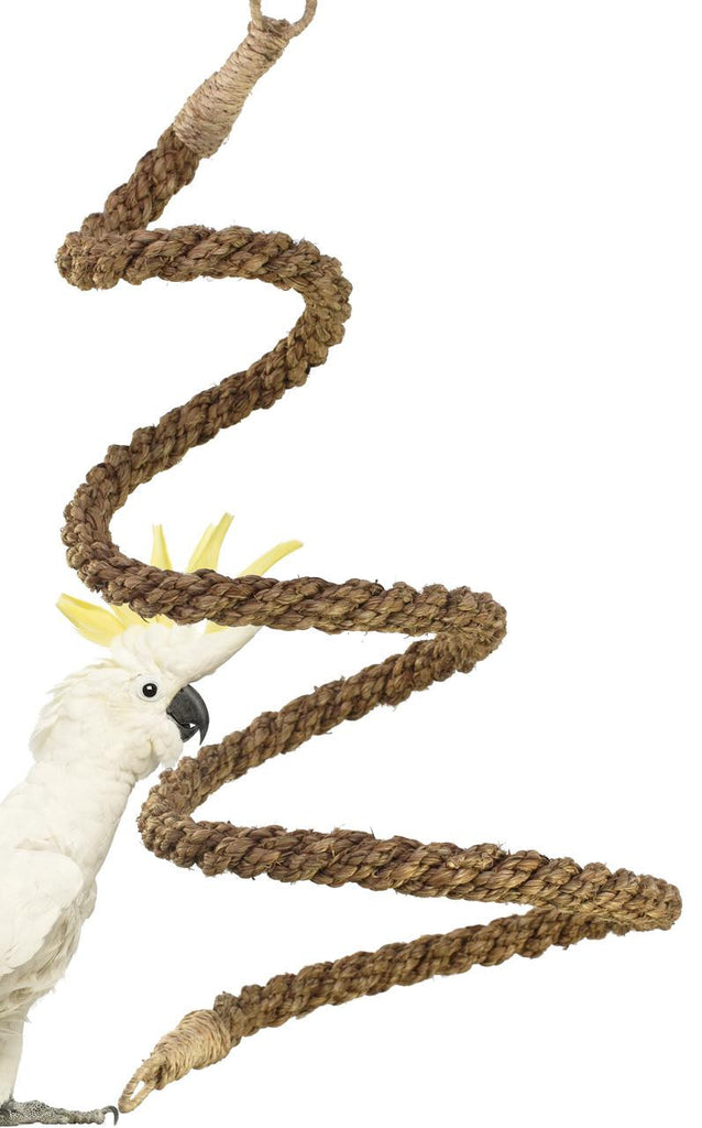 A & E Happy Beaks Cotton Rope Boing With Bell Bird Cage Accessory – Mr  Mochas Pet Supplies