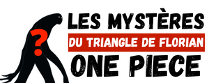 Les Mysteres Du Triangle De Florian Dans One Piece Luffyshop