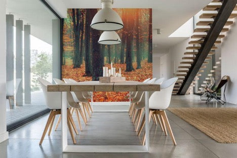 Autumn Forest Landscape Wallpaper Mural, eazywallz.eu