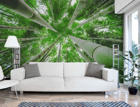 Green Bamboo Forest Wallpaper Mural, eazywallz.eu