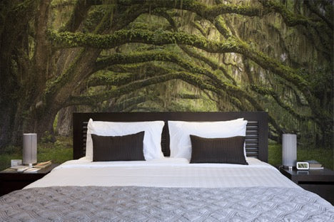 Oak Tree Forest Wallpaper Mural, eazywallz.eu