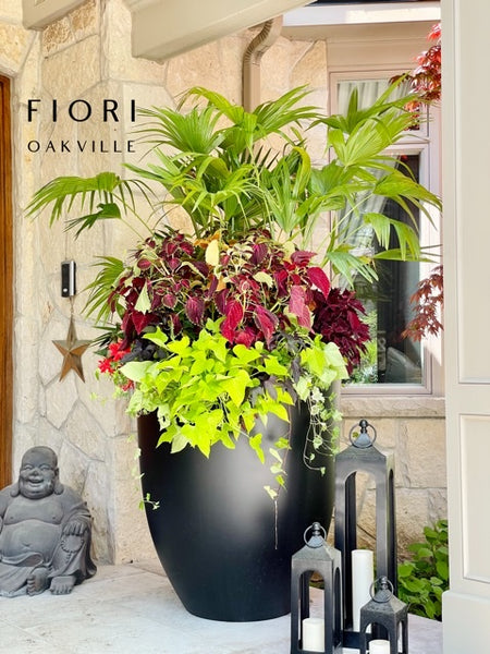 Outdoor planters & live plant FIORI Oakville Florist Burlington 