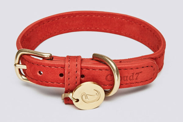 Central Park Leather Dog Collar, Best Leather Dog Collars Australia - Lavish Tails