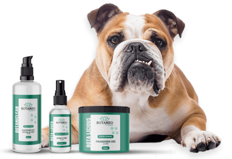 Gamme de produits Botaneo au CBD pour Chiens & Chats Spray CBD Huile CBD Friandises Snack CBD et Shampoing CBD