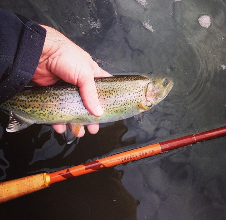 fall fishing tenkara