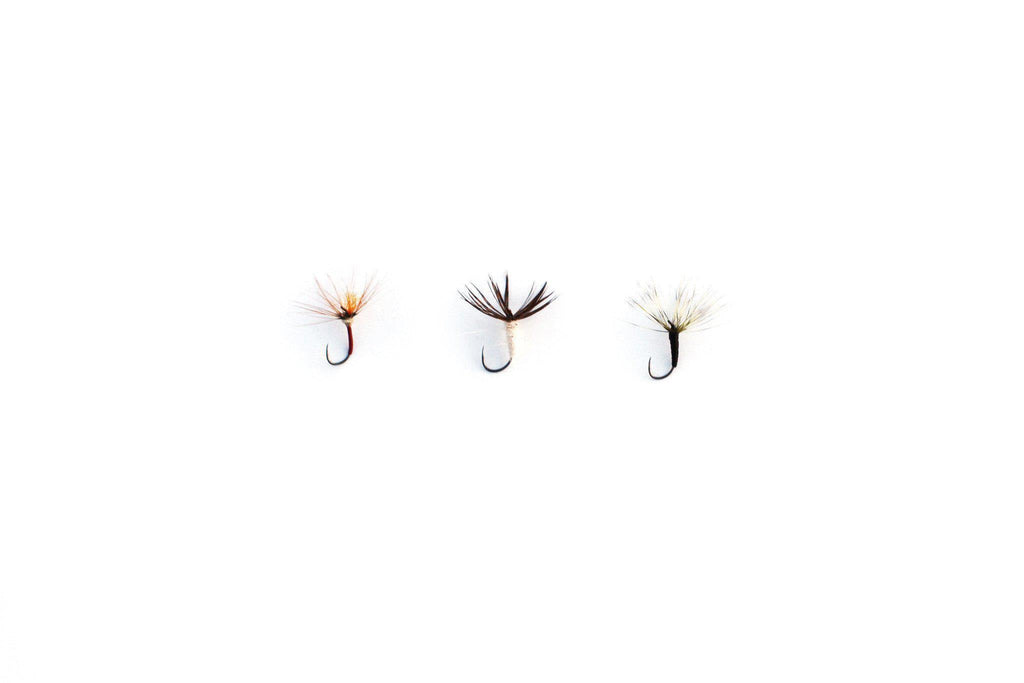 flies-3-pack