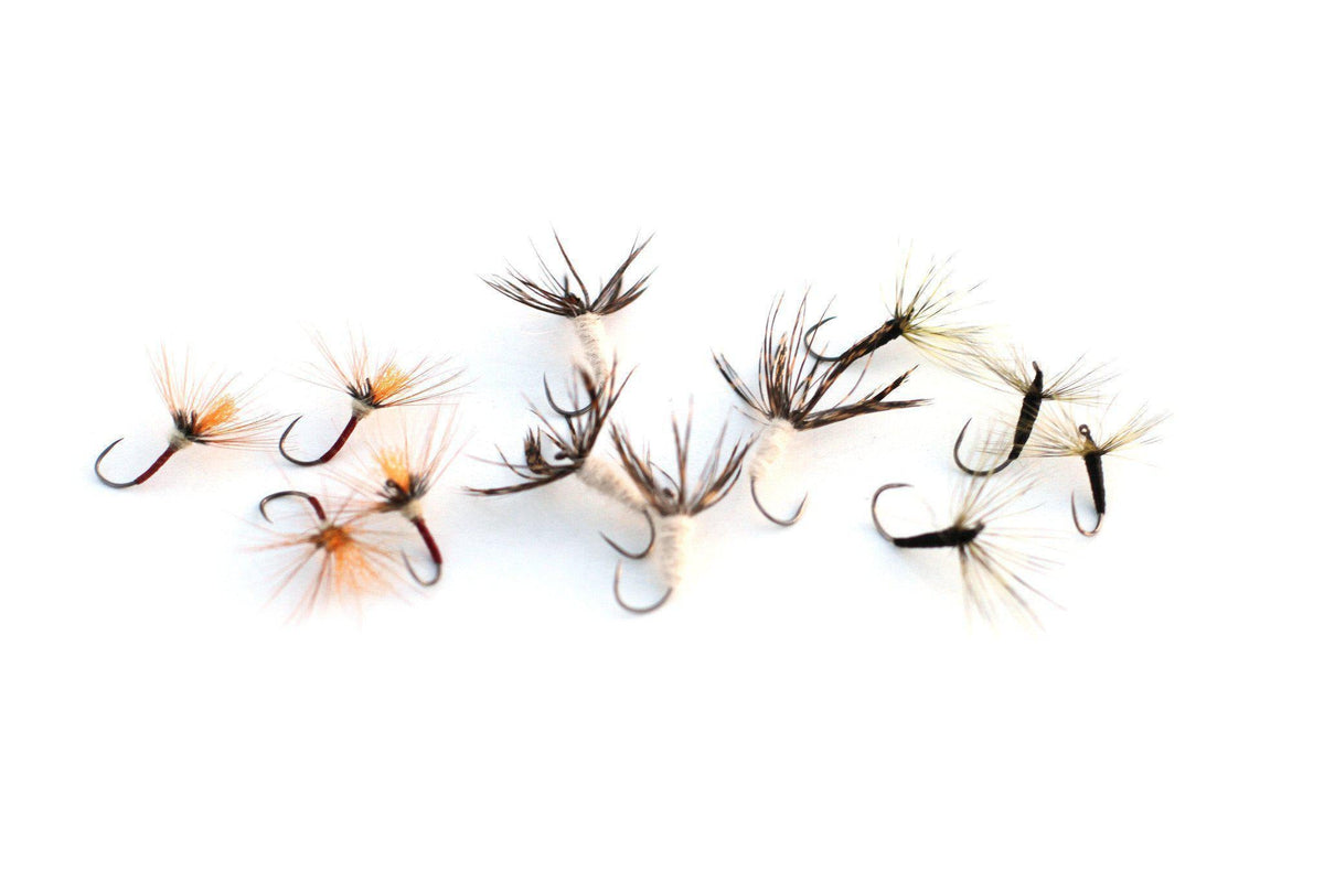 Eastern Trout Fly Assortment - 12 Essential Dry and Nymph Fly Fishing –  Wasatch Tenkara Rods