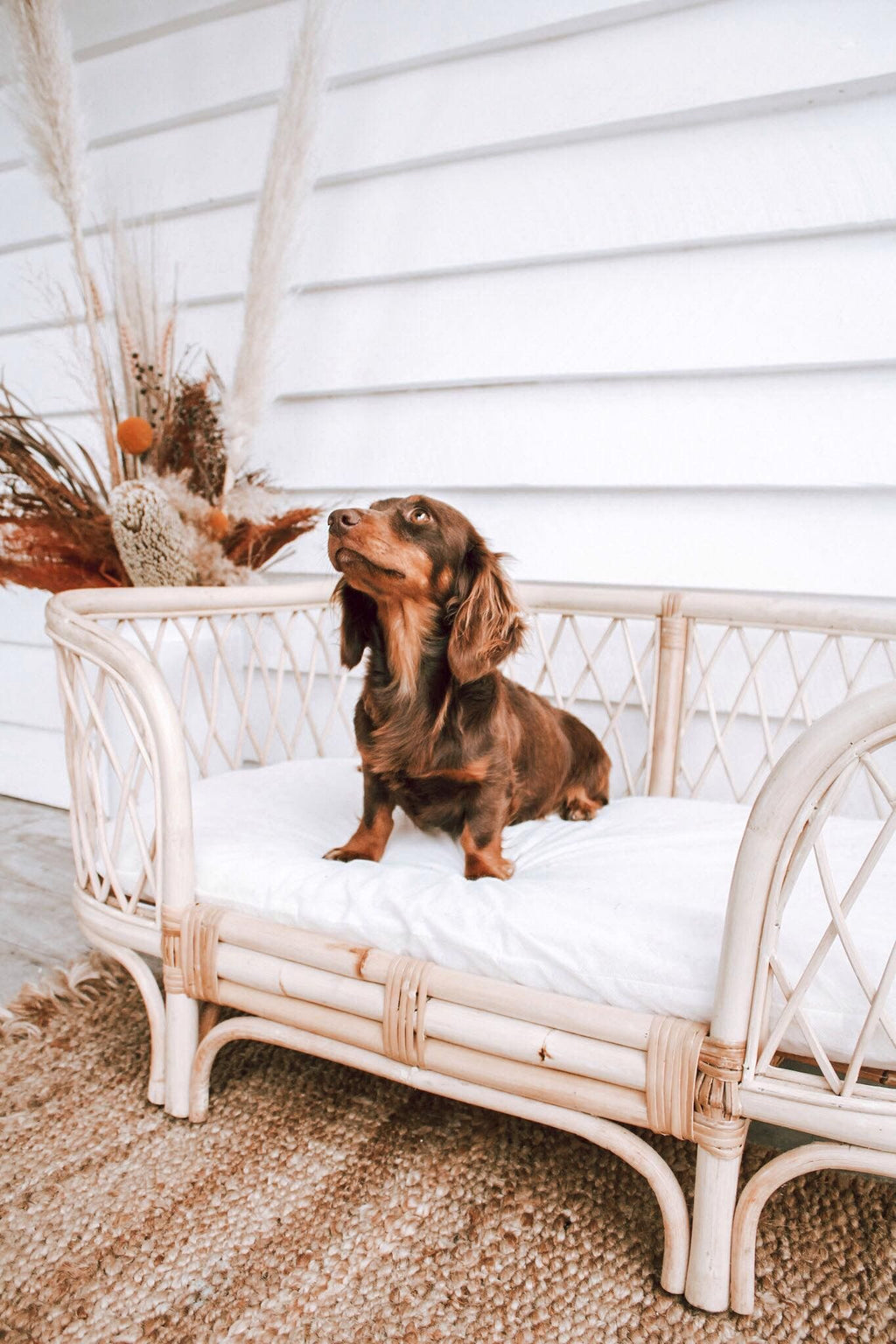 dog rattan bed