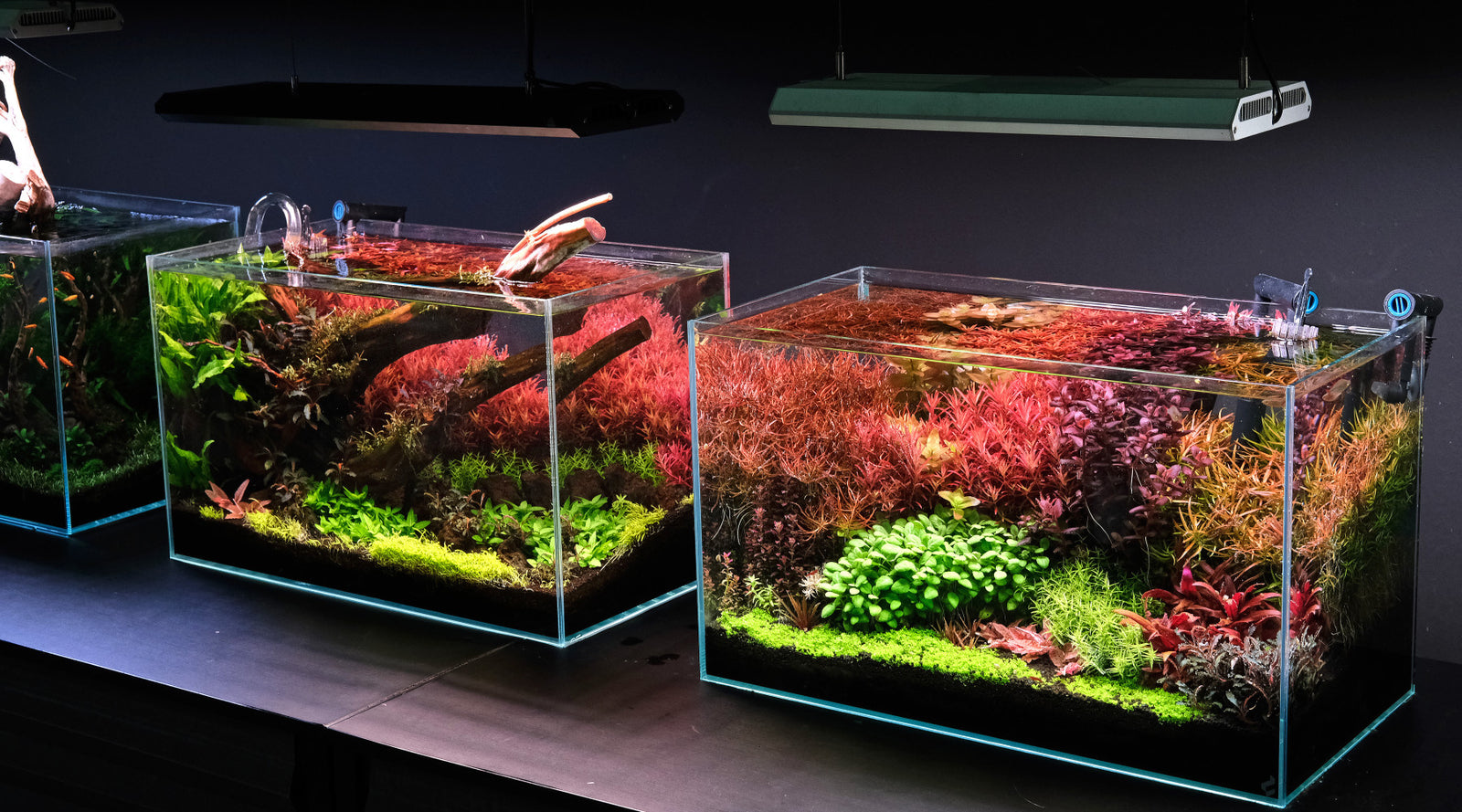 Vernauwd gewoon oplichter The best LED units for planted tanks in 2023 - The 2Hr Aquarist