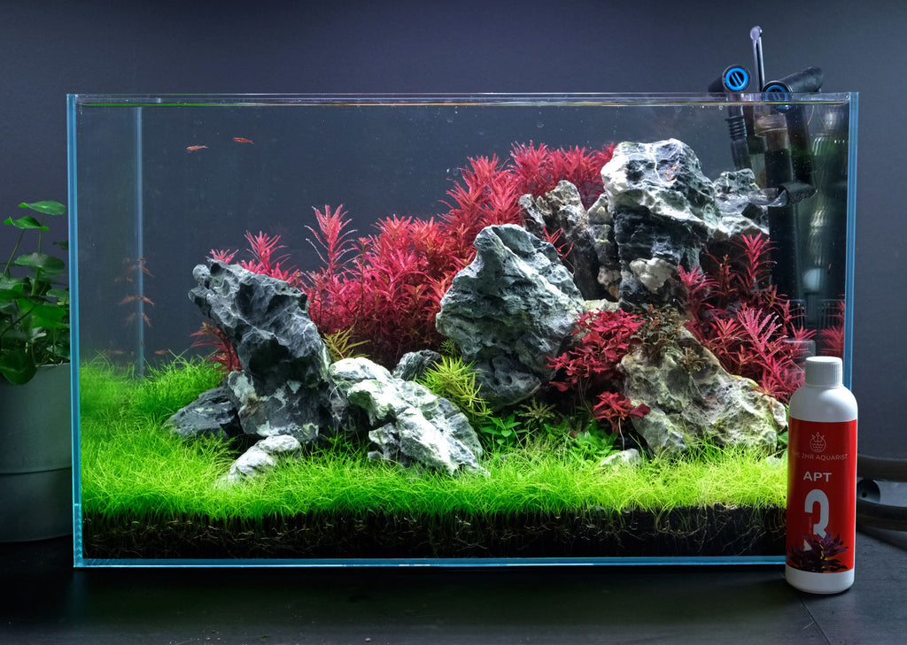 Aquarium Plant Seeds Fish Tank Aquatic Water Grass Foreground Easy Plants N