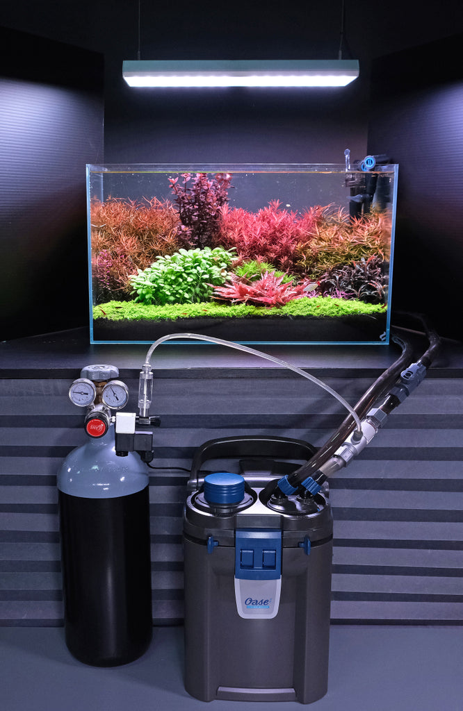 CO2 System 101 - for beginners - The 2Hr Aquarist