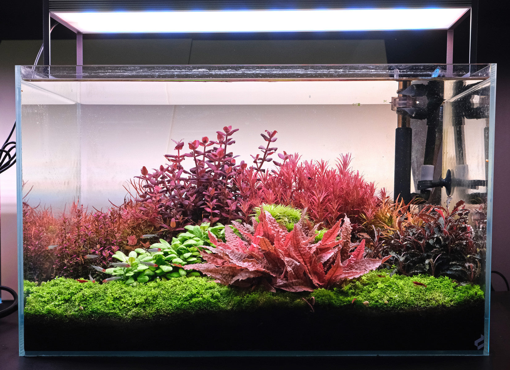 The best LED units for in - The 2Hr Aquarist