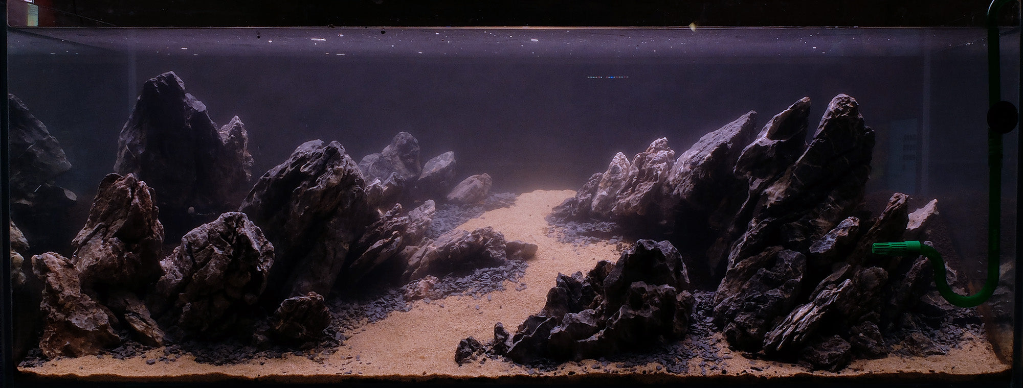 Filter media layout and sequence for planted tank - The 2Hr Aquarist