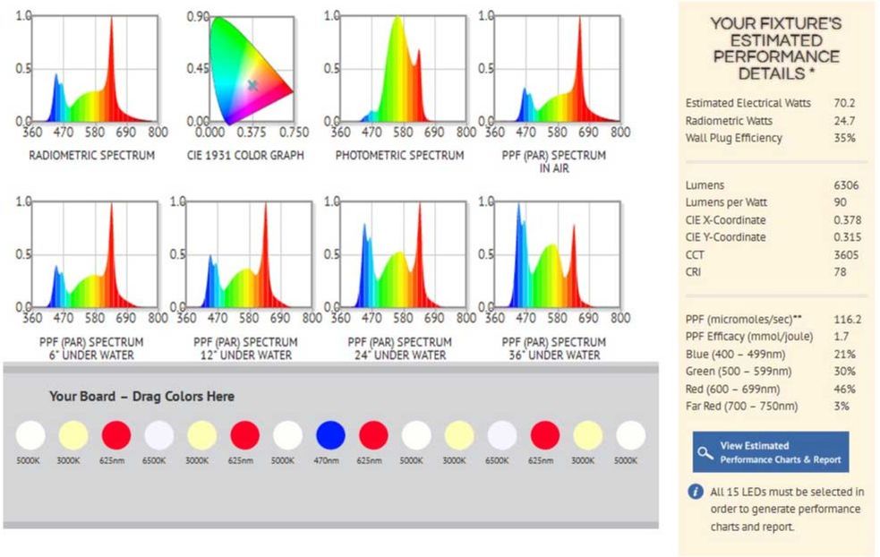 bml spectrum summary dennis wong