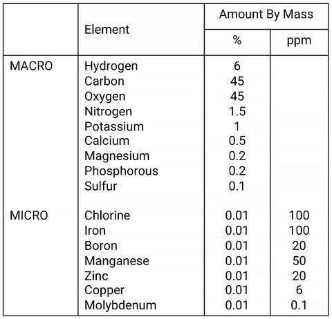 dennis wong plant dry mass composition