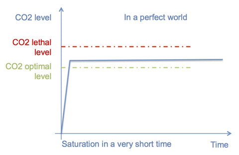 CO2 injection perfect scenario