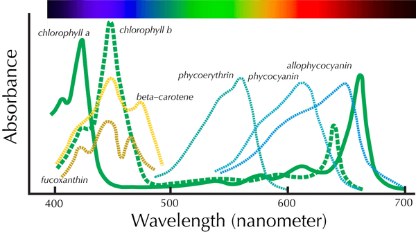pigment spectra