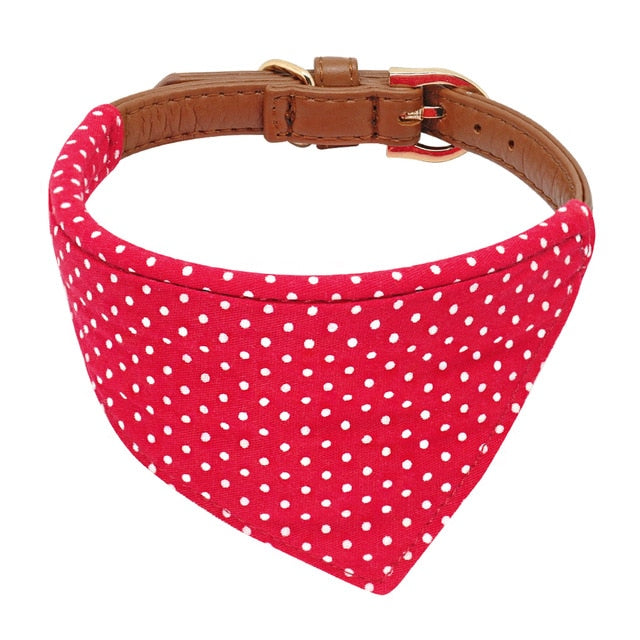 bandana dog collar