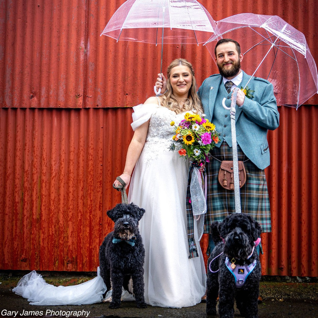 Pet dogs with bride and groom