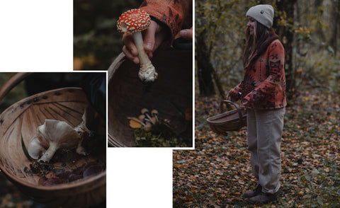 Foraging in North Yorkshire