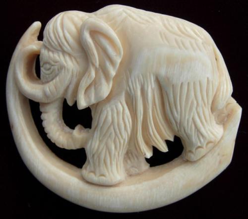 Mammoth Tusk For Sale