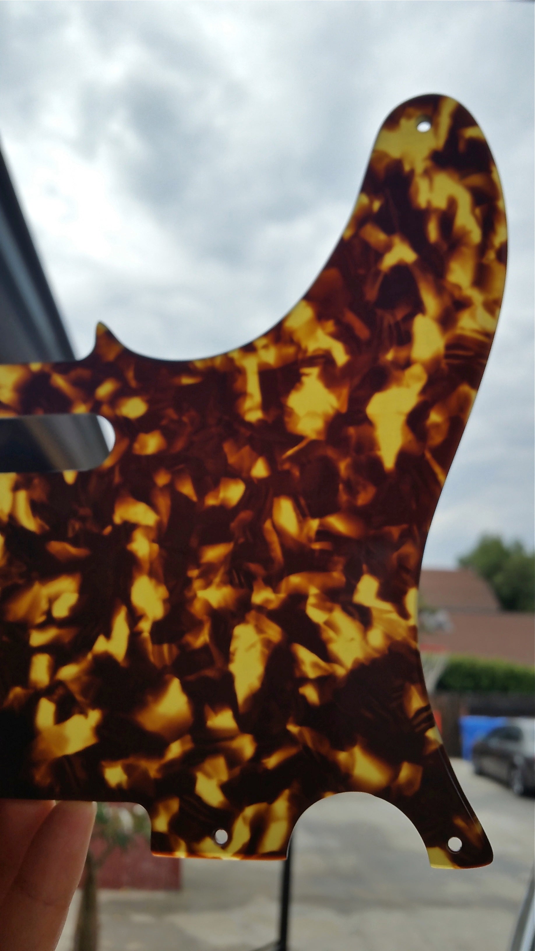 vintage tortoise pickguard