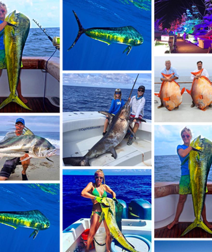 FISHING GIANT TARPON OF TAMPA BAY