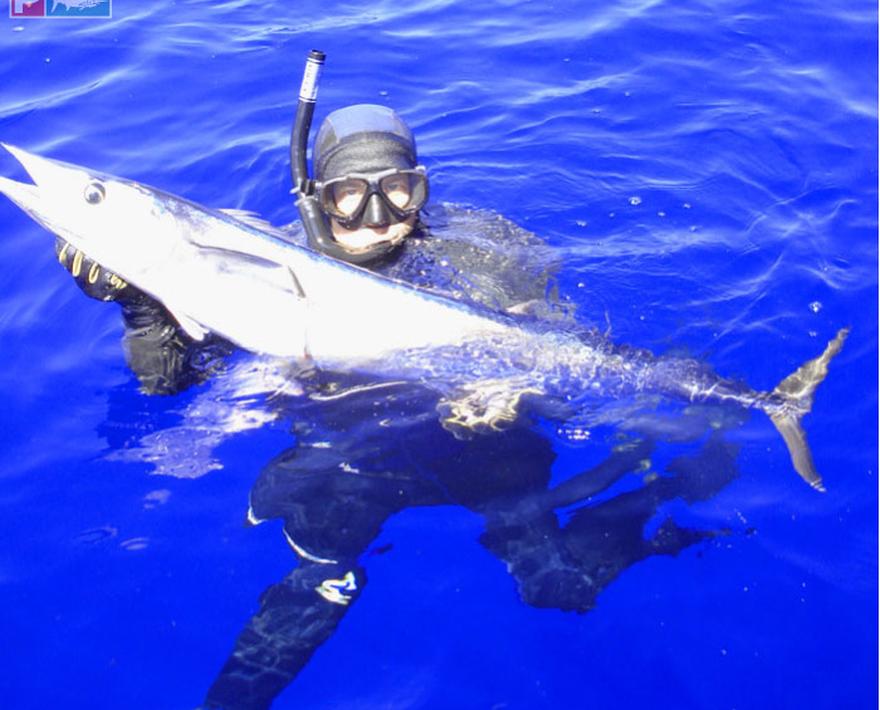 Bluewater Hunter: Ryan Moore - SoCAL Bluefin