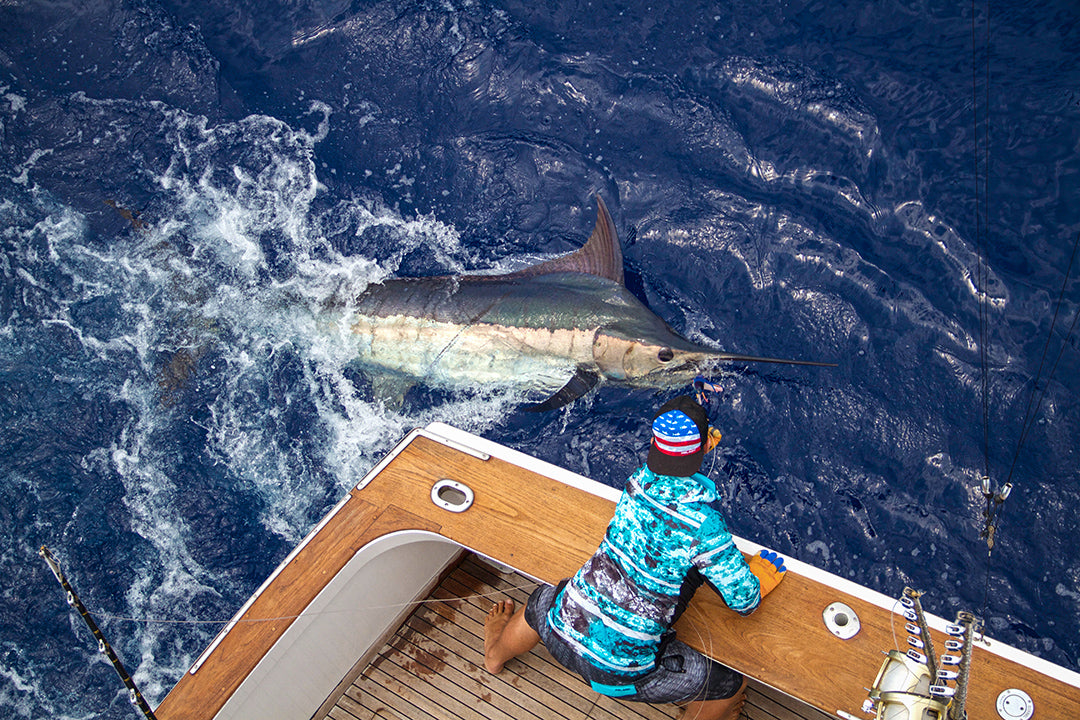 Blue Marlin-Kona Hawaii-Pelagic