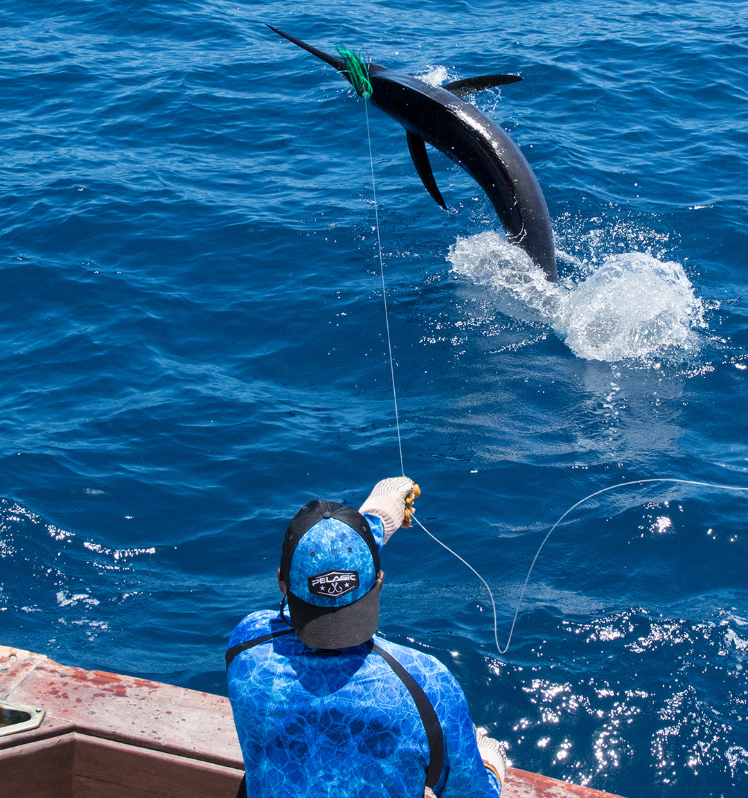 Blue Marlin_Pelagic Rockstar Tournament_Jumping