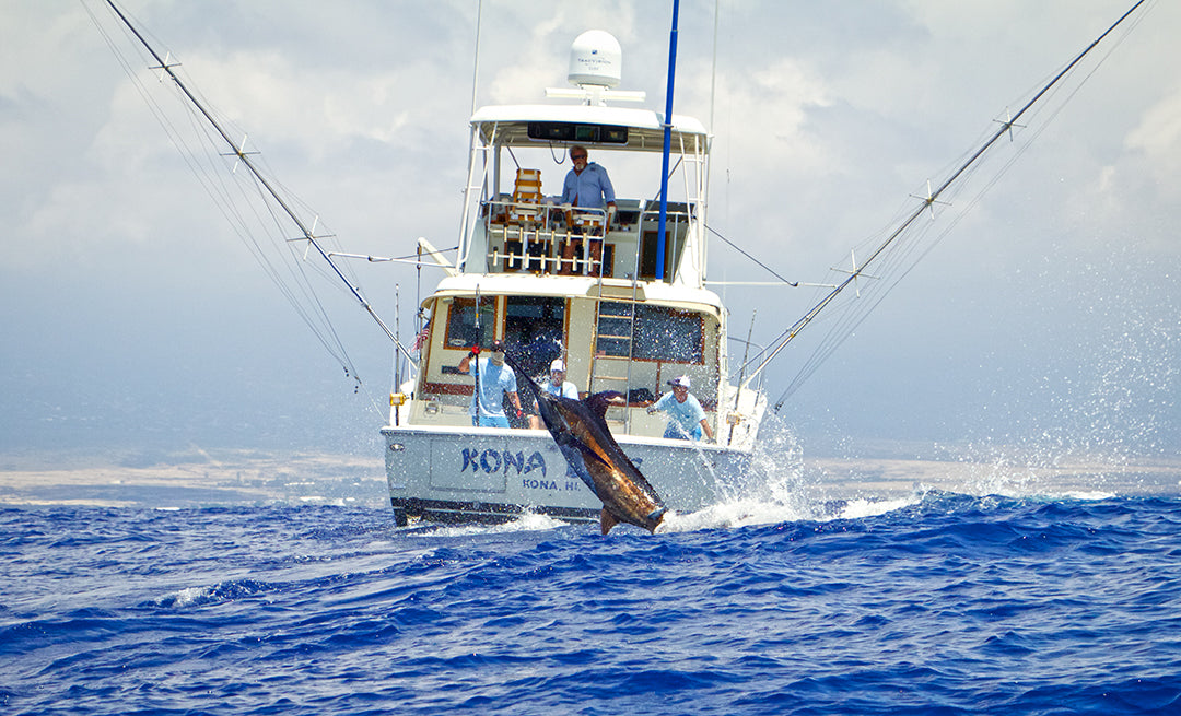 Blue Marlin-Kona Blue-Hawaii-Pelagic