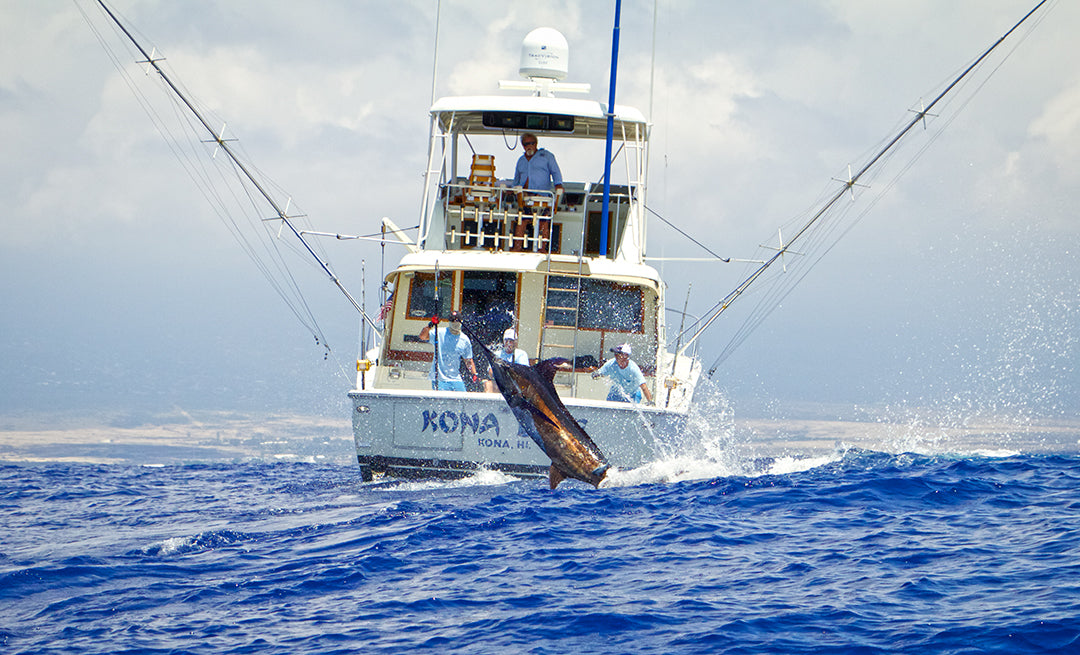 Aloha, Kona: Hawaii Marlin Expeditions Preview