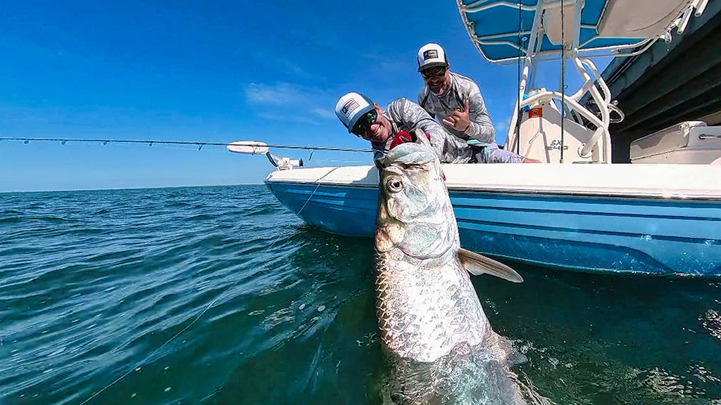 FISHING GIANT TARPON OF TAMPA BAY