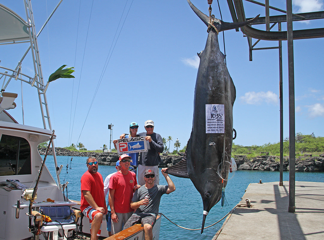 1000 pound blue marlin-kona hawaii-pelagic-marlin parker