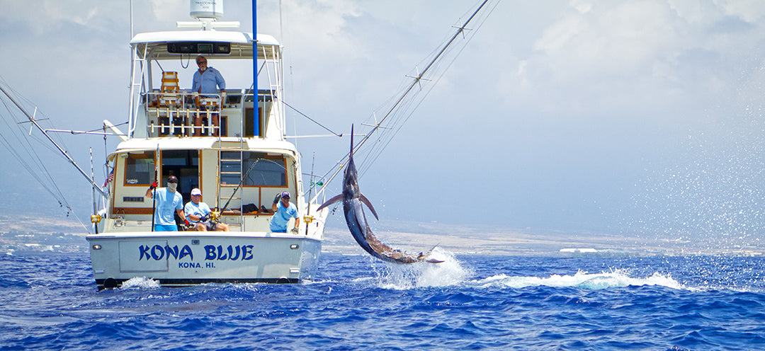 Kona Blue Marlin-Pelagic