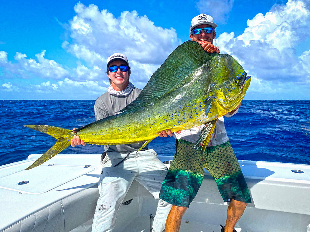 Nick Stanczyk_PELAGIC_Mahi Mahi