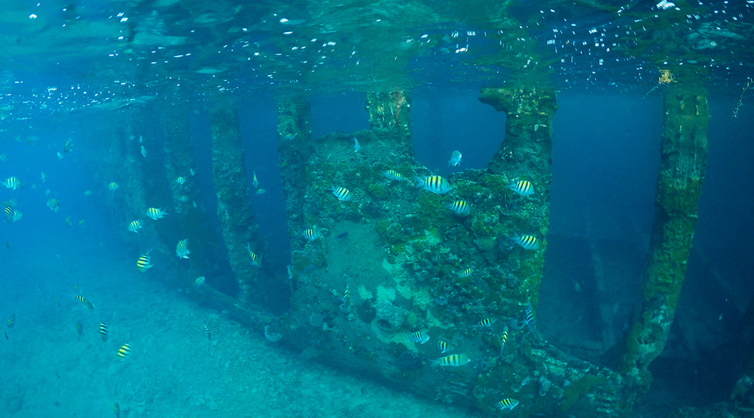 Shipwreck-Snorkeling-Bimini-Bahamas