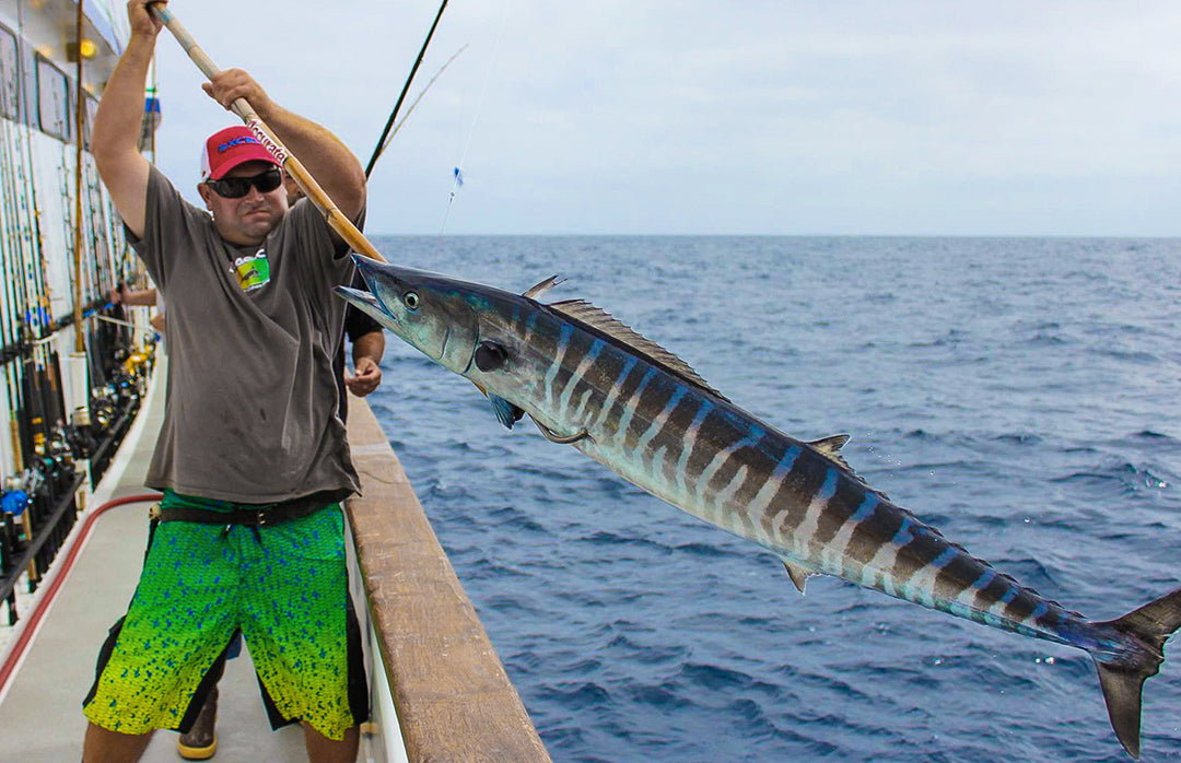 Wahoo-Long Range Fishing-Pelagic-Excel Sportfishing