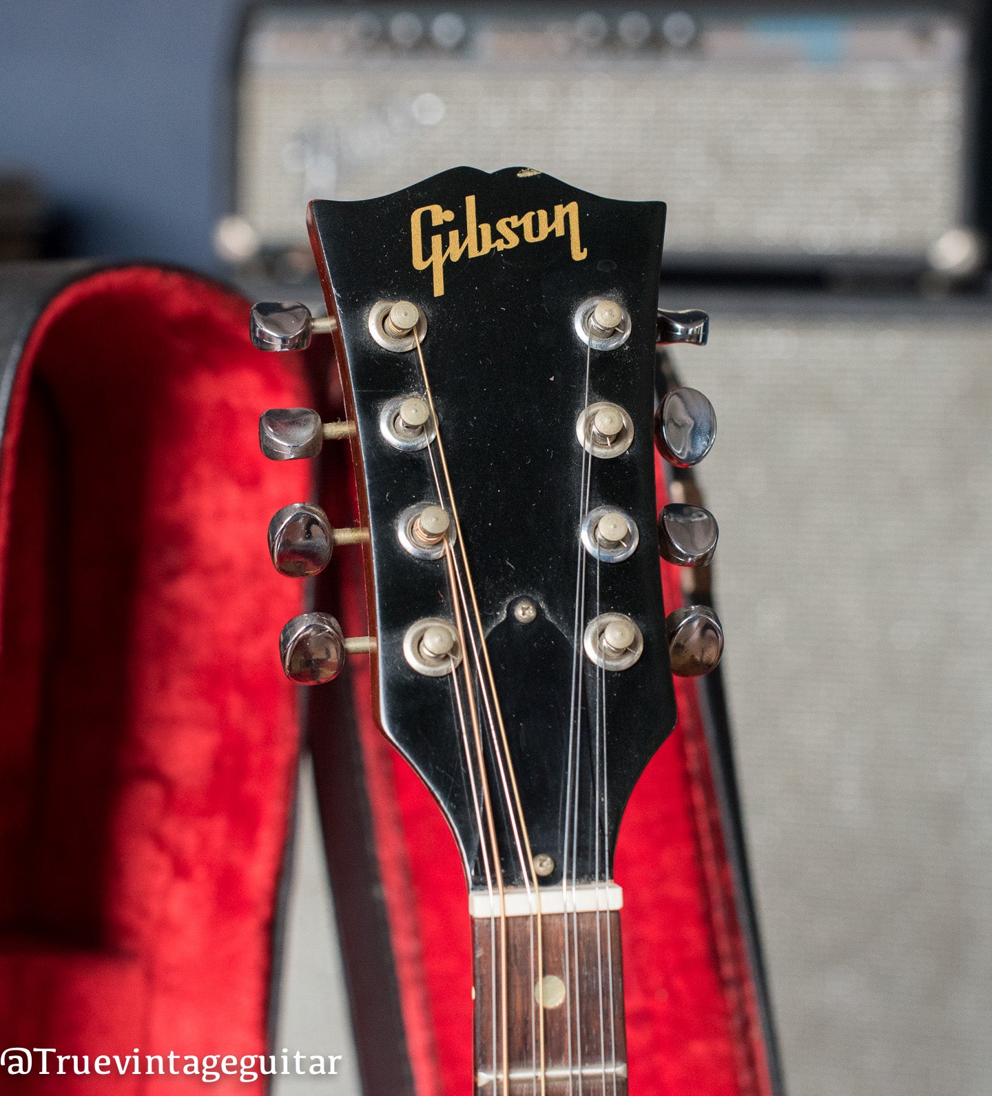 Gibson TG-25 8 strings