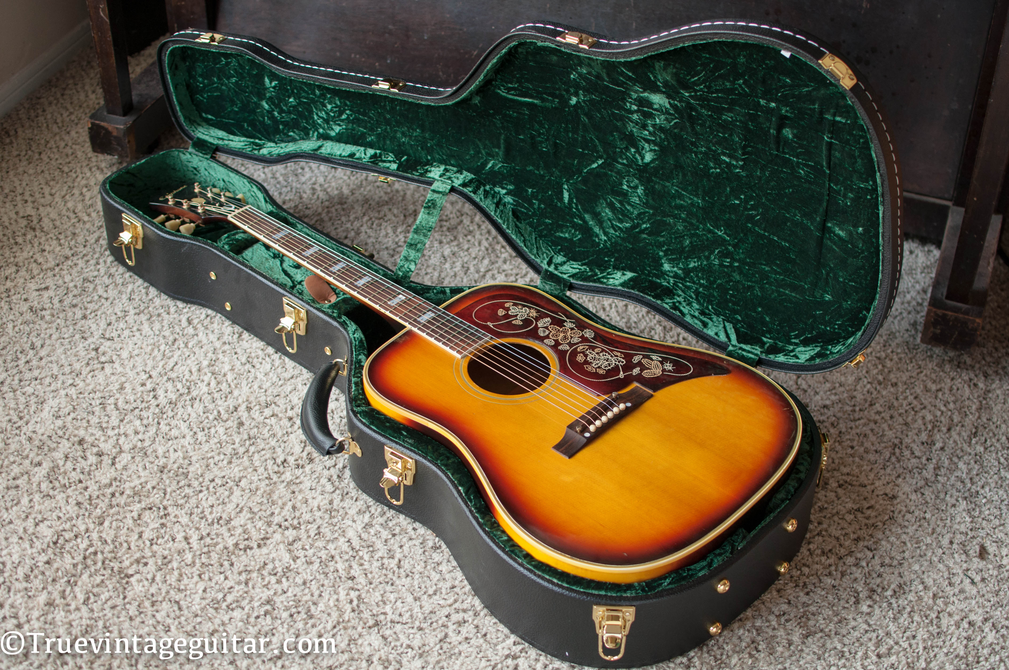 Case for Epiphone Texan and Frontier