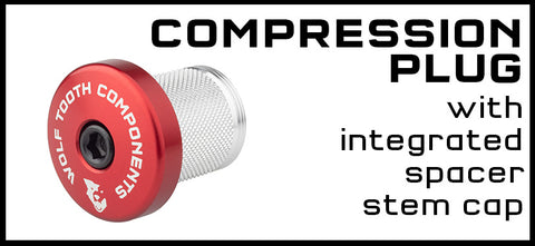 Compression Plug with integrated spacer stem cap