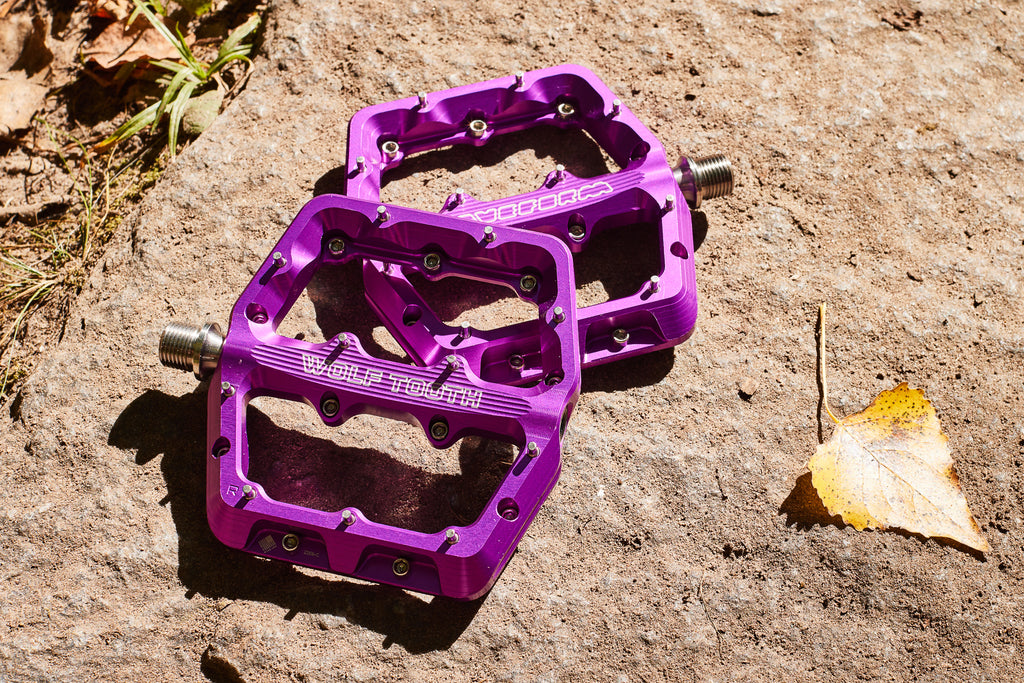 Two Wolf Tooth Waveform Pedals in Ultraviolet Purple are posted on a rocky surface.