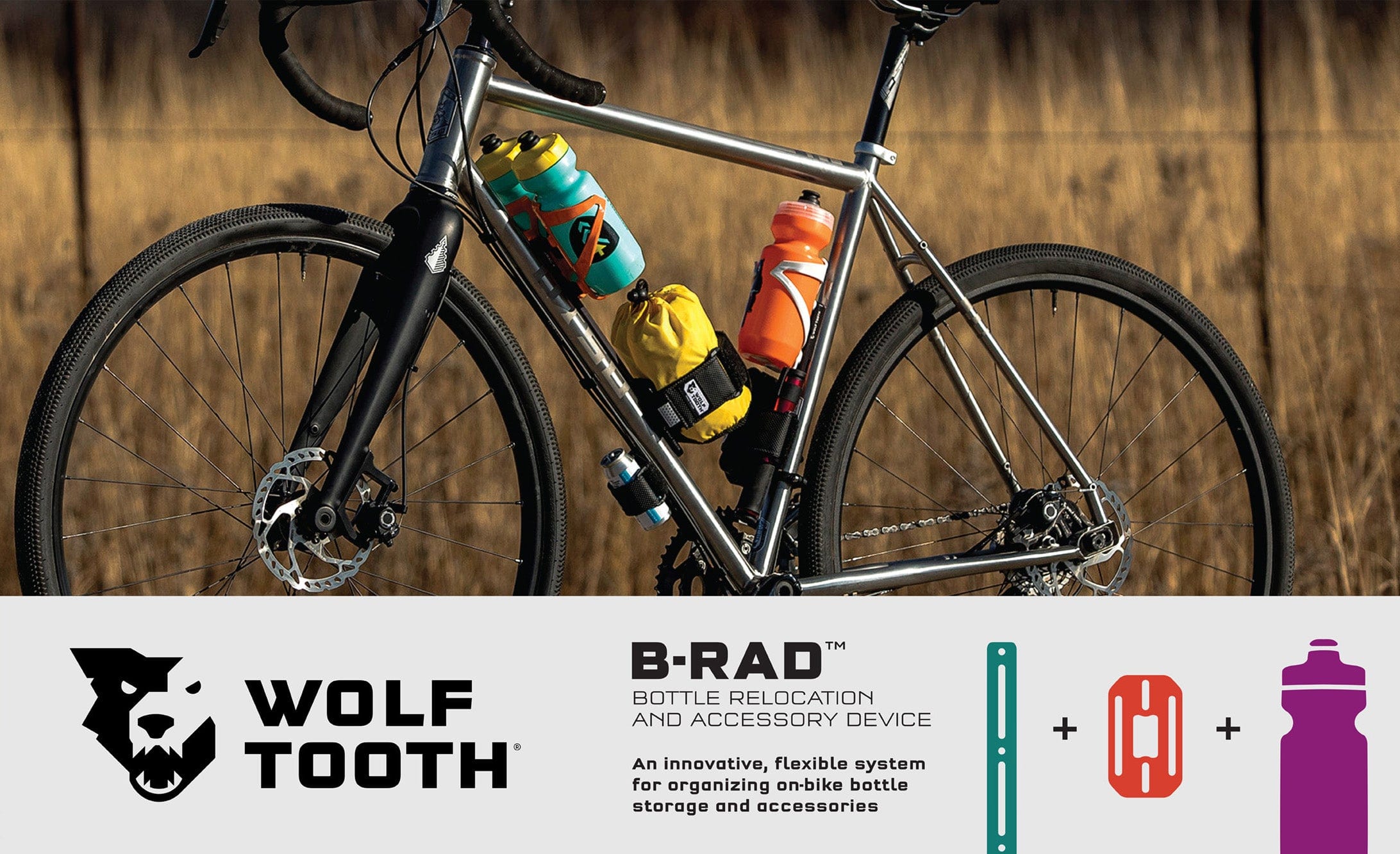 wolf tooth bike