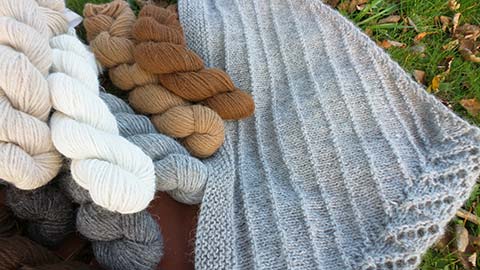 Ravelry: Basic Doll pattern by Carol Meldrum